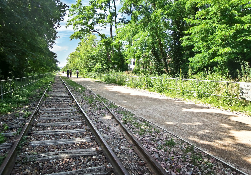 jardin-petite-ceinture