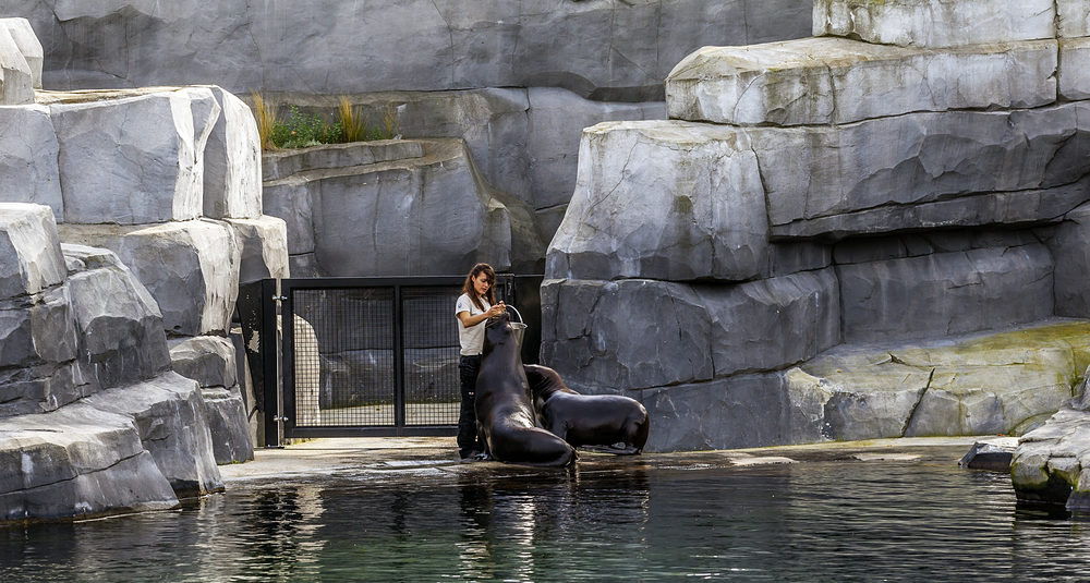 Zoo-Vincennes