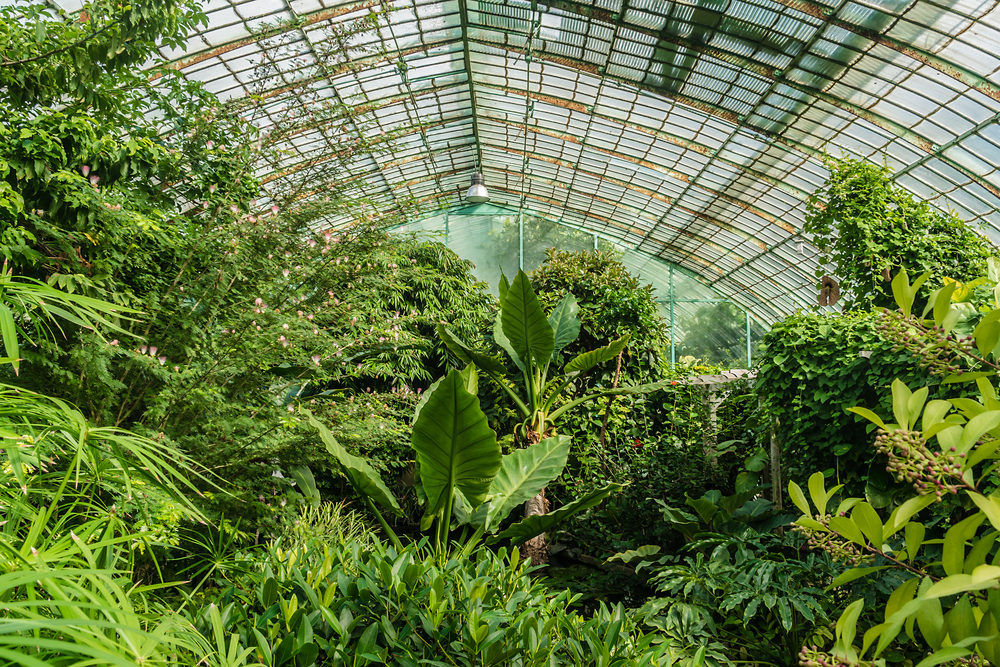 jardin-serres-auteuil